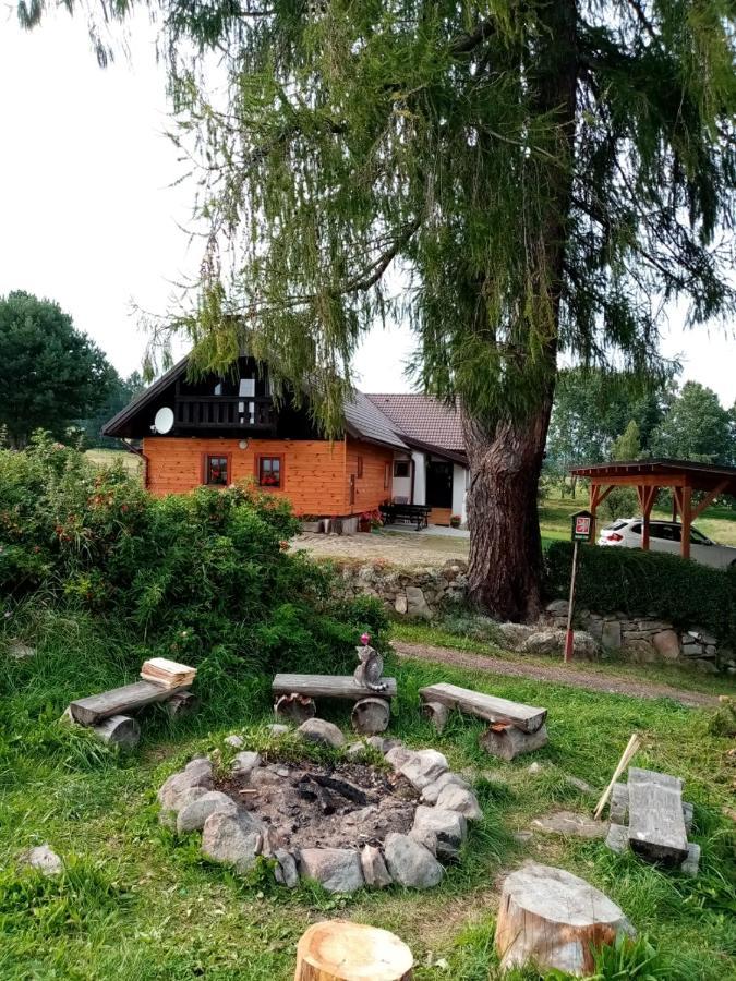 Chalupa Olsina 31 - Ferienhaus Horni Plana Luaran gambar